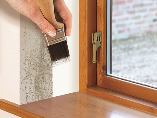 Stain Blocking and Damp Treatment Services Cheshire